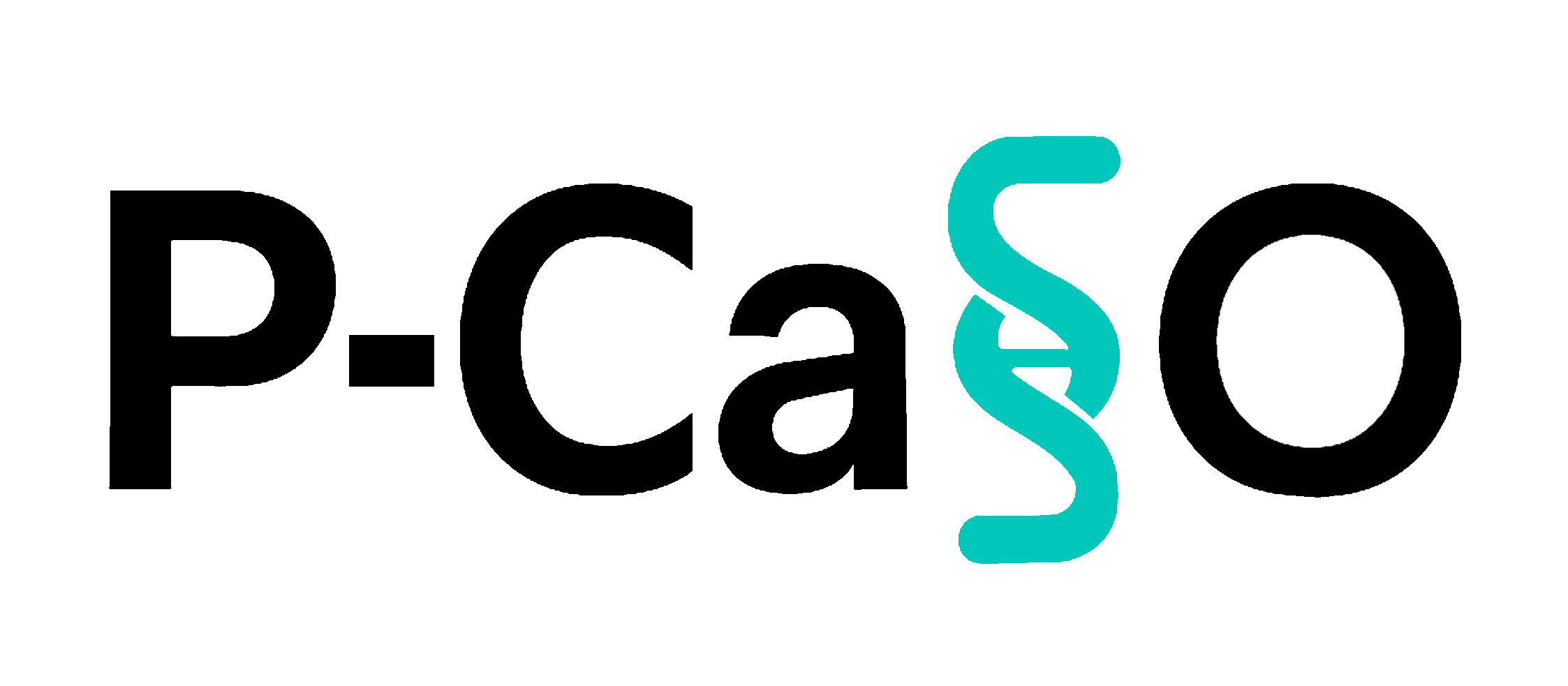 P-CaSSO Logo