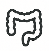 Colon