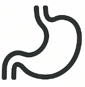 Stomach